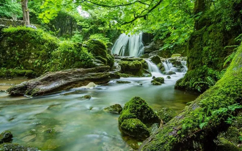 精密高标准高效